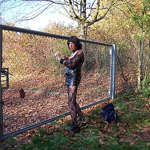 im wald und auf dem rastplatz Galeriebild