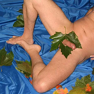 Fall pleasure gallery image