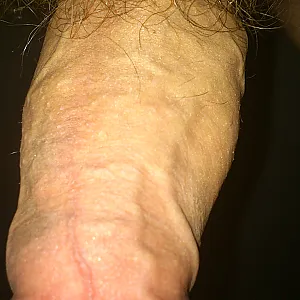 new unshaved gallery image