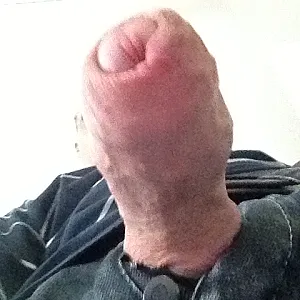 neues vom Schwanz Galeriebild