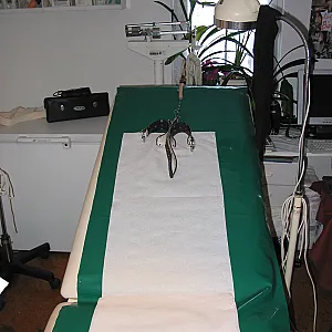 our white studio part 1 gallery image