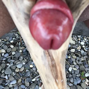 Am Bodenseeufer Galeriebild
