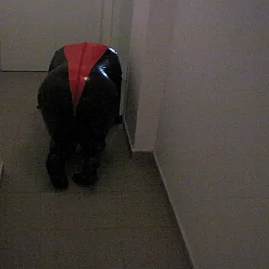 Petplay in latex suit ... gallery image