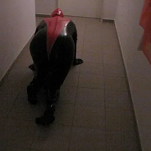 Petplay in latex suit ... gallery image