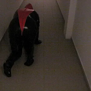 Petplay in latex suit ... gallery image