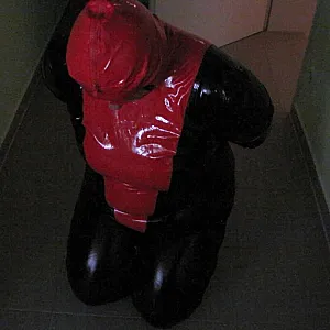 Petplay in latex suit ... gallery image