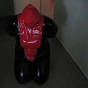 Petplay in latex suit ... gallery image