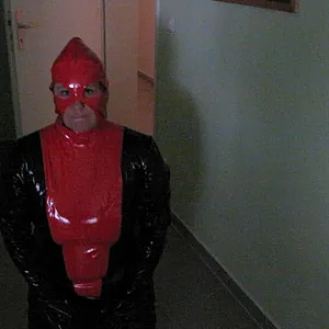 Petplay in latex suit ... gallery image