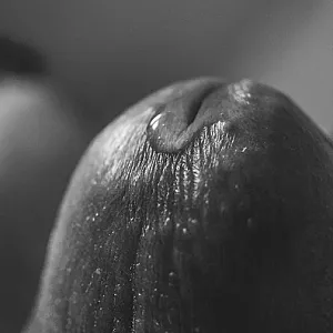 _ Galeriebild