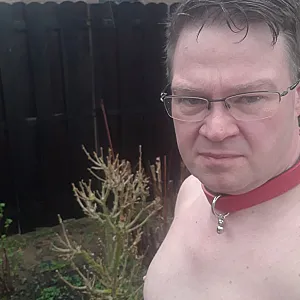 Exhibitionist als Sklavensau Galeriebild