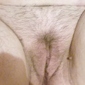 my wifes pussy gallery image