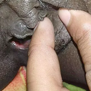 sperm gallery image