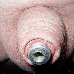 Penis Plug Galeriebild