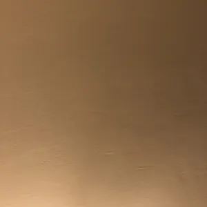 Penis Galeriebild