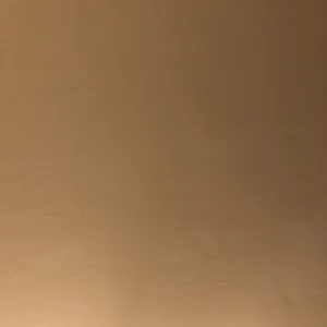 Penis Galeriebild