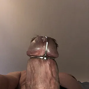Penis Galeriebild