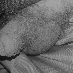my cock gallery image