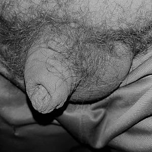 my cock gallery image