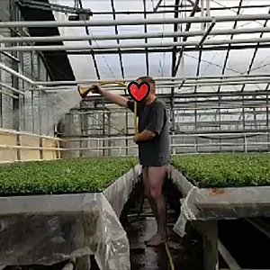 watering the flowers gallery image