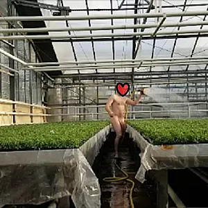 watering the flowers gallery image