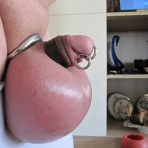 Hodensackfüllung Galeriebild