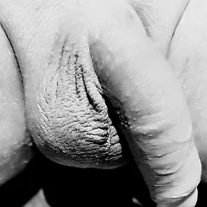 my dick gallery image