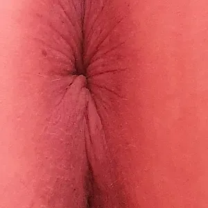 Lisas Fotoalbum Galeriebild