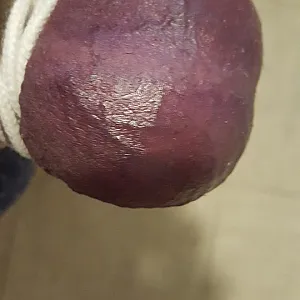 bound and stretch gallery image