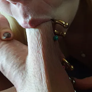 sucking balls gallery image