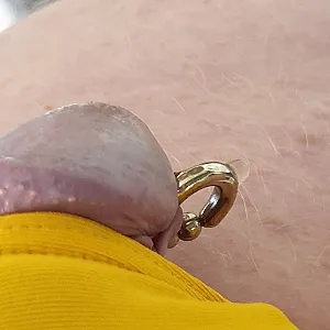 peeing in yellow gallery image