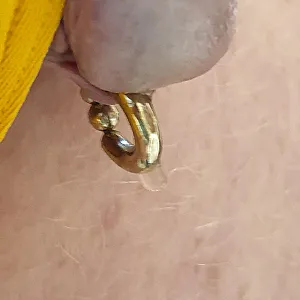 peeing in yellow gallery image