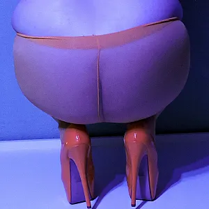 cunt, tits and nylons gallery image