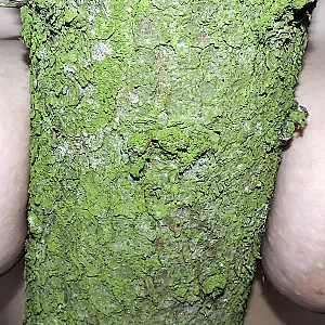 Geil nackt im Wald Galeriebild