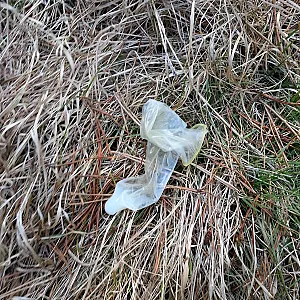 my used condoms gallery image