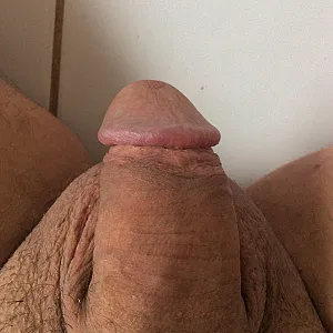cuming gallery image