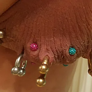 2 neue Piercings am Sack Galeriebild