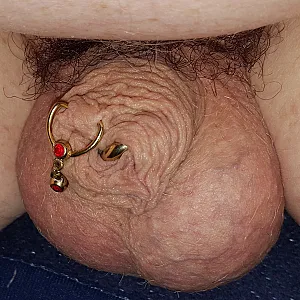 my cock gallery image