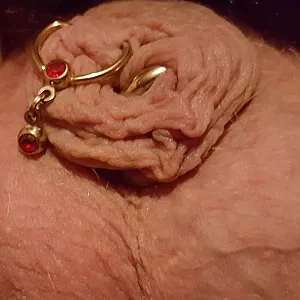 my cock gallery image