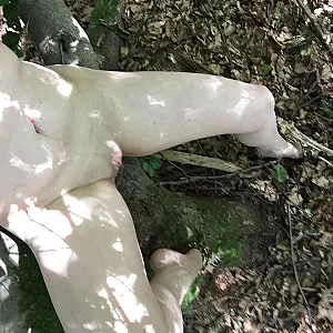 Nackt im Wald in Bonn Galeriebild