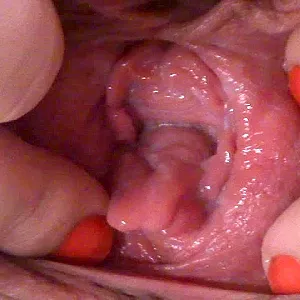 dildofuck gallery image