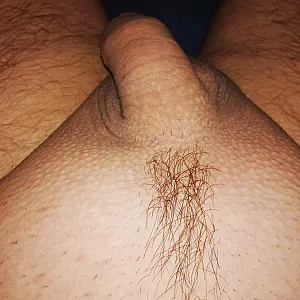 horny gallery image