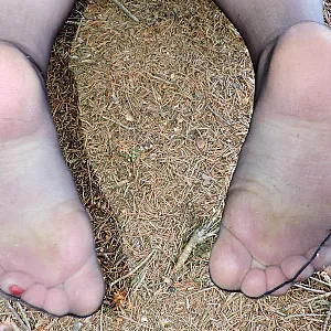 Fotze,Arsch und Titten im Wald in Nylons Galeriebild
