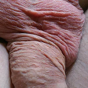 my cock and balls gallery image