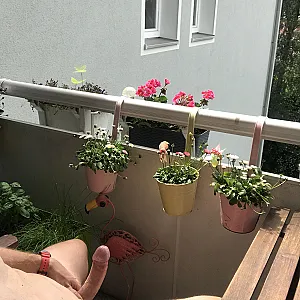 Ständer auf dem Balkon Galeriebild