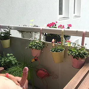 Ständer auf dem Balkon Galeriebild