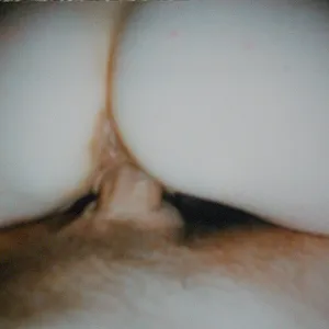 geile  fickbilder 1 Galeriebild