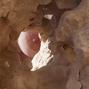 beach impreessions gallery image