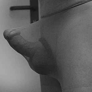 ass and dick gallery image
