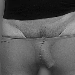 ass and dick gallery image