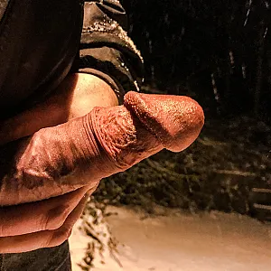 Spaziergang im Schnee Galeriebild